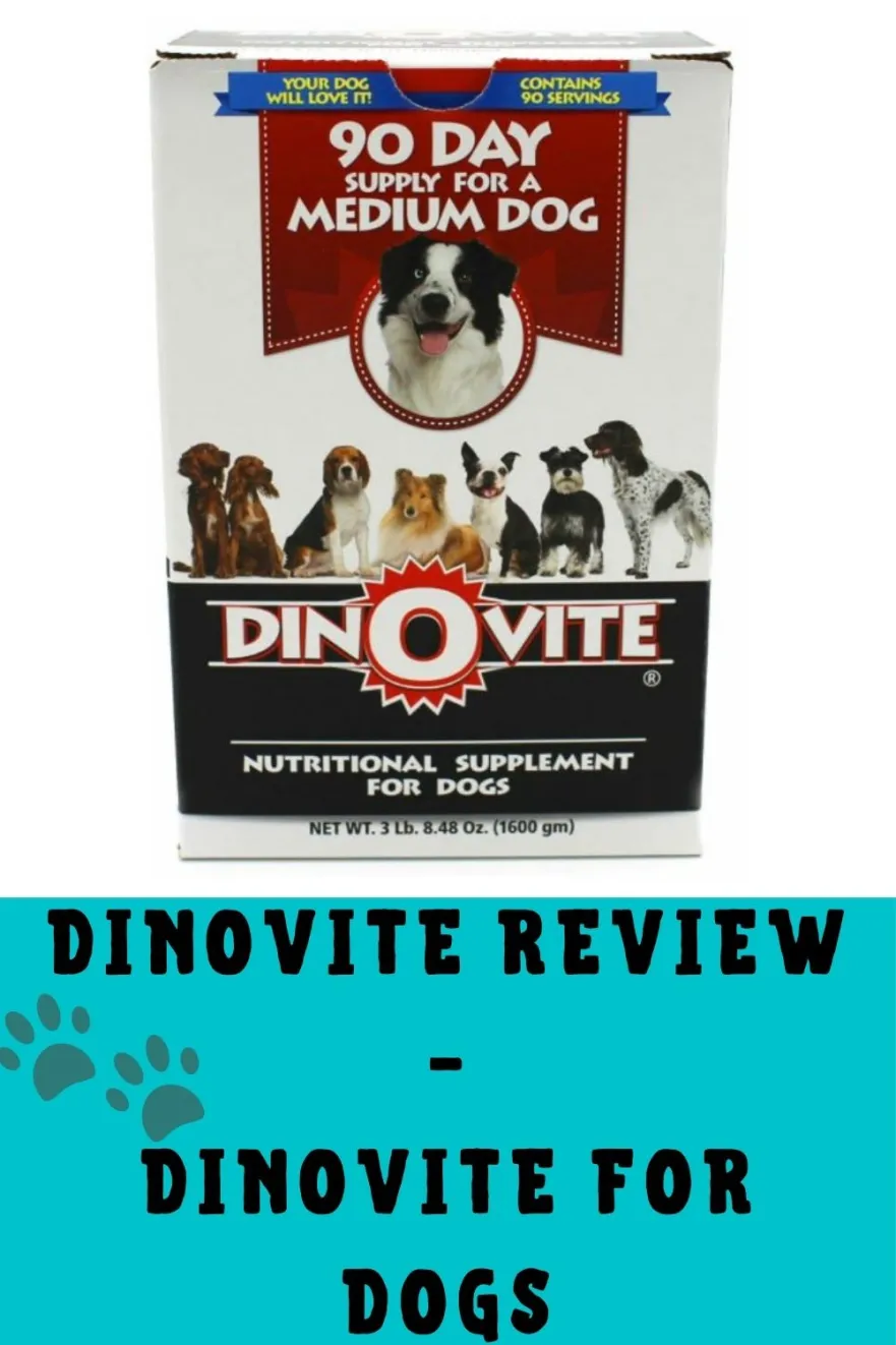 Latest Dinovite Reviews