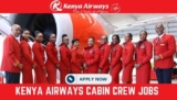 Aviation Jobs in Kenya 2023 | Turkish Airlines Application